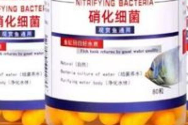 能否直接将硝化细菌胶囊放入鱼缸，打开后可直接放入