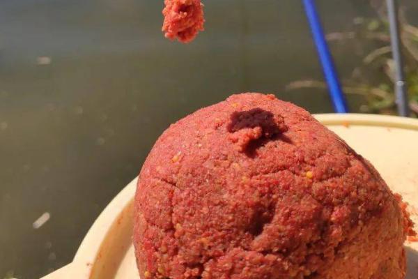 钓青鱼适合用什么饵料打窝,可使用螺狮、菜籽饼等谷物类饵料