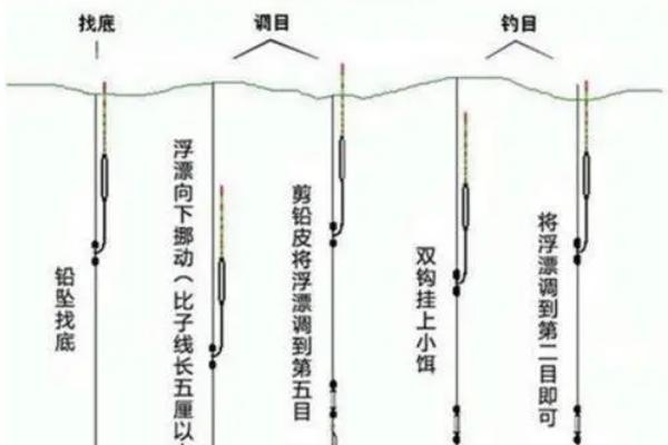 钓青鱼适合用什么饵料打窝,可使用螺狮、菜籽饼等谷物类饵料