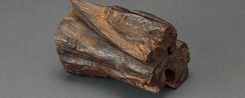 奇楠种植气候条件