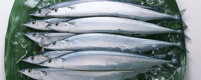 秋刀鱼中国叫什么