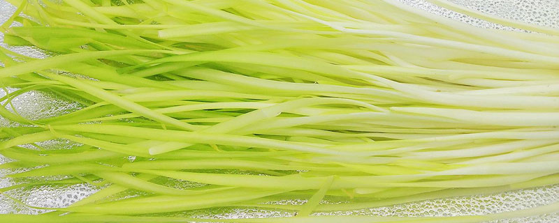 韭黄和蒜黄的区别