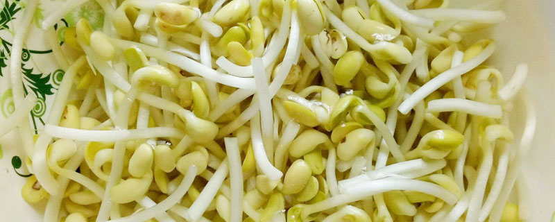 黄豆芽和绿豆芽的区别