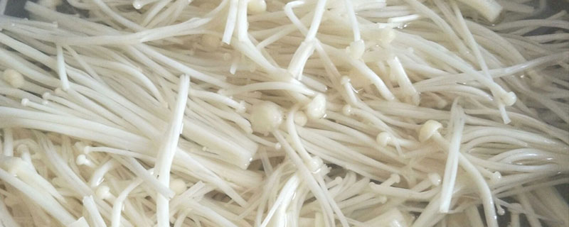 金针菇和黄花菜的区别