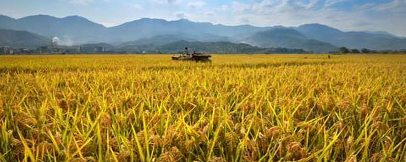 二甲灭草松使用方法