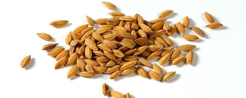 精甲咯嘧菌的作用