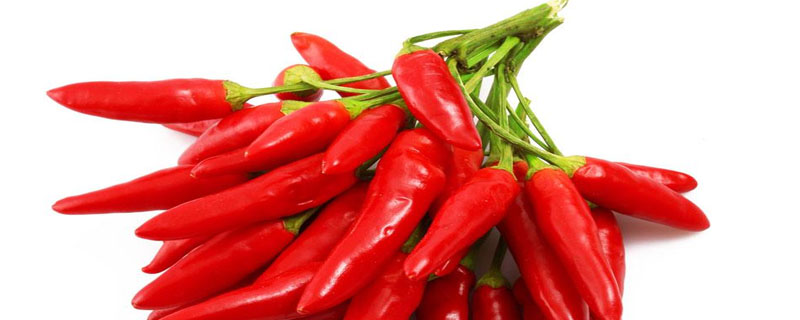 辣椒炭疽病用药配方