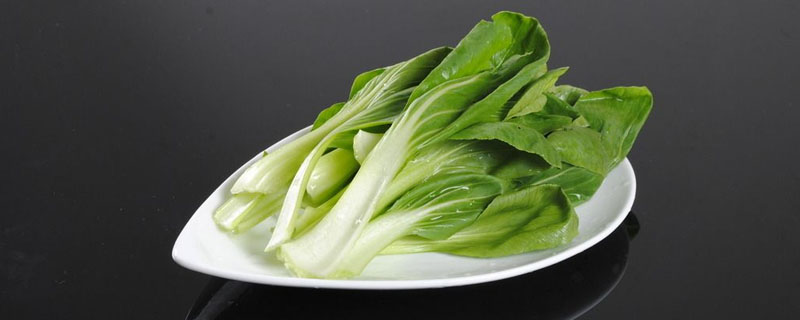 油菜播种时间和成熟时间