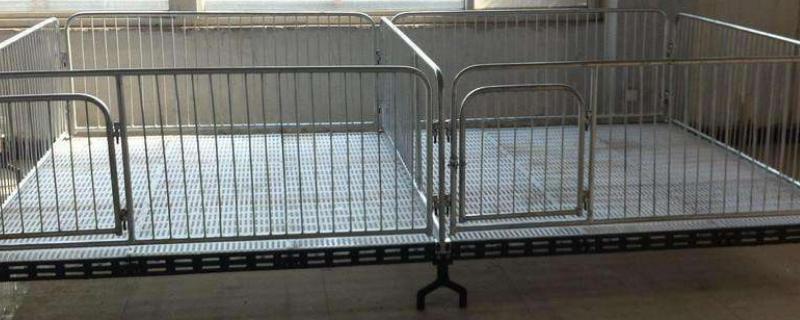 仔猪保育床图片及尺寸,如何安装,有什么作用