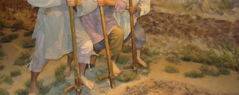 原始农业兴起和发展的标志是什么,兴起于中国哪些流域