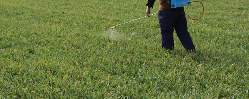 灭草松除草剂禁忌，多久见效