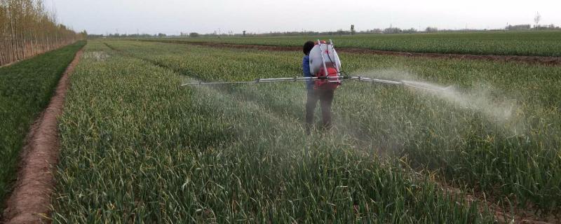 异菌脲不能和什么复配，和腐霉利能同时使用吗