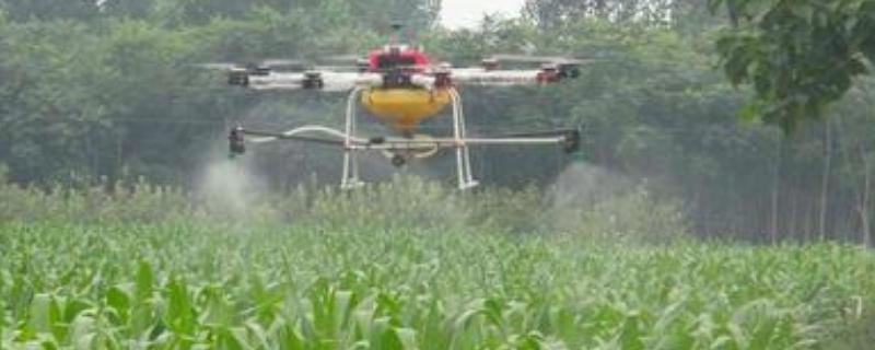 吡唑醚菌酯注意事项,附作用和用途