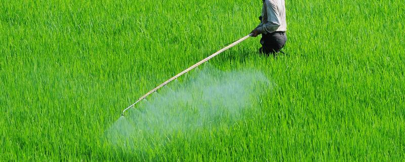 甲维虫酰肼哪些作物不能用,附使用方法及注意事项