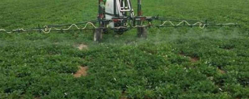 阴天打药作物能吸收吗,阴天打药好还是晴天打药好