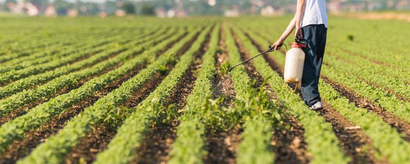 灭幼脲是什么类农药,能治什么虫?对人体有危害吗