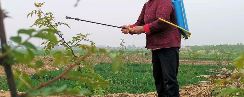 烯啶吡蚜酮使用说明，需要稀释多少倍