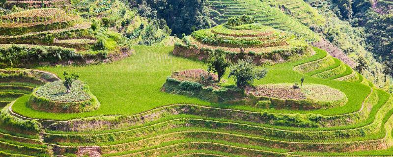 山地丘陵区一般不宜种植需要耕作的作物，山地丘陵区的自然特点是什么