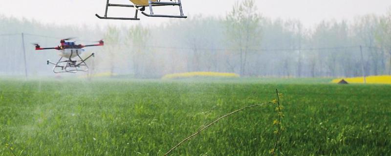 复硝酚钠用后会疯长吗，与芸苔素有什么区别