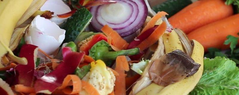 厨余垃圾怎么处理变成肥料,一般有哪些厨余垃圾