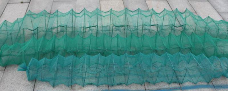 地笼不进鱼的原因,一般几小时收一次