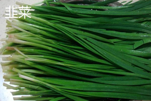 韭黄是怎么种出来的,韭黄就是韭菜吗