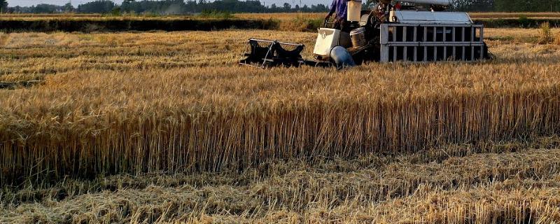 一年四季的农事有什么