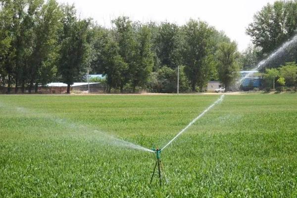 一年四季的农事有什么