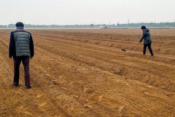 一年四季的农事有什么