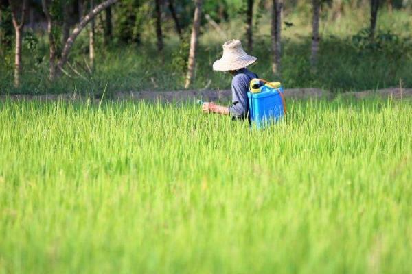 一年四季的农事有什么