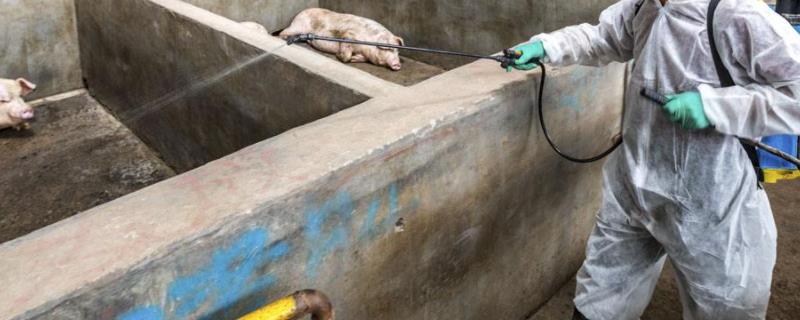 猪舍中药烟熏消毒,消毒液用什么好