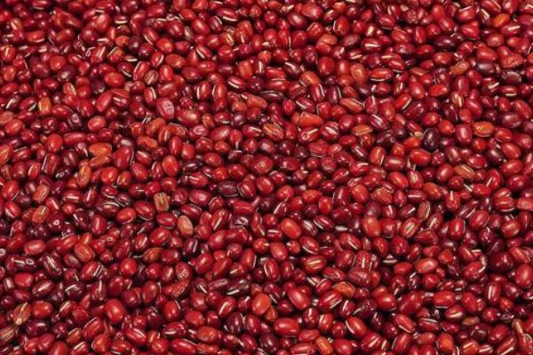 秋天成熟的农作物有哪些