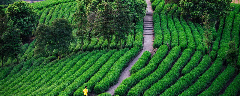 基本农田建养殖场手续