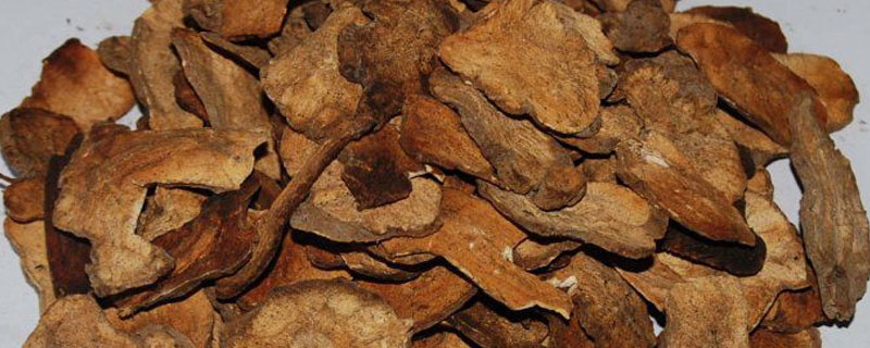 白术和炒白术的区别