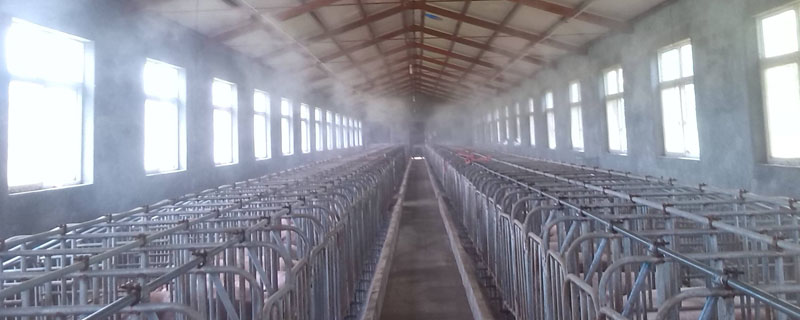 养殖场需要办什么证件