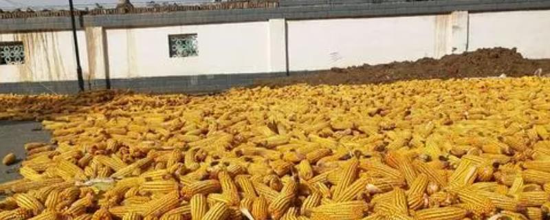 作物布局的原则是什么