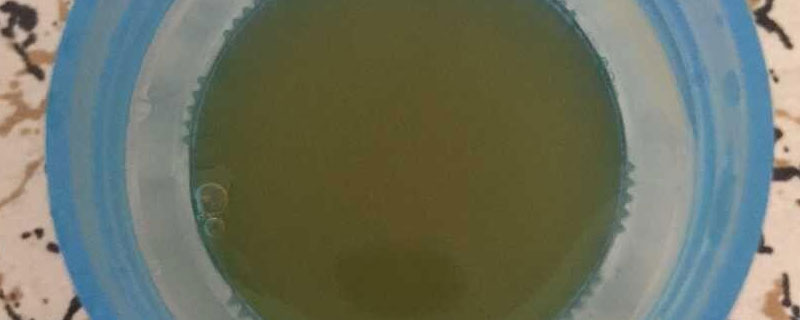 液肥和营养液是一样的吗