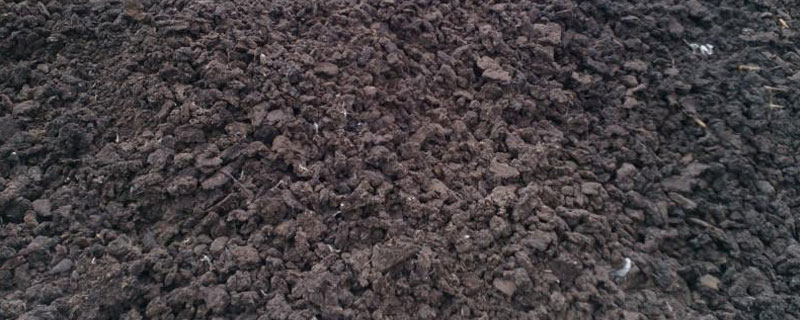 生物肥可以在雨天施吗