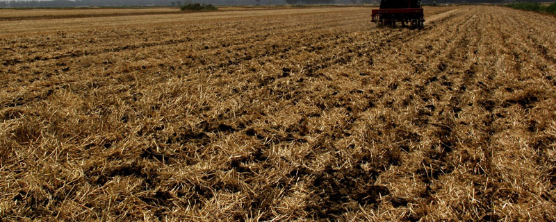 10吨秸秆能做几吨煤