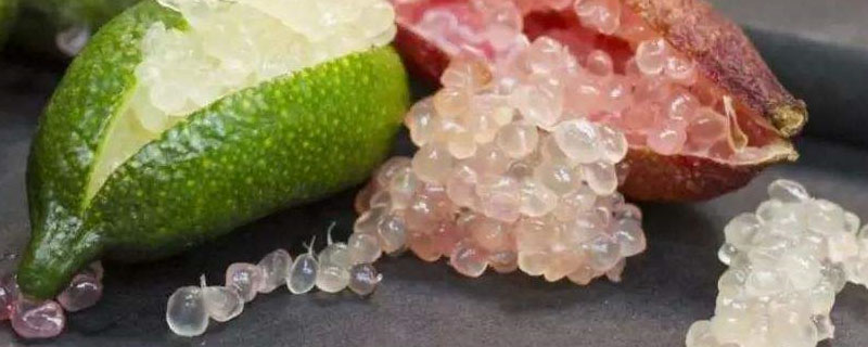 指橙在中国有种植吗