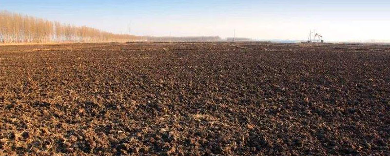 环嗪酮对土地有害吗