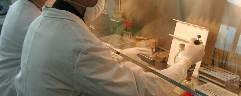 微生物的营养类型有哪些?