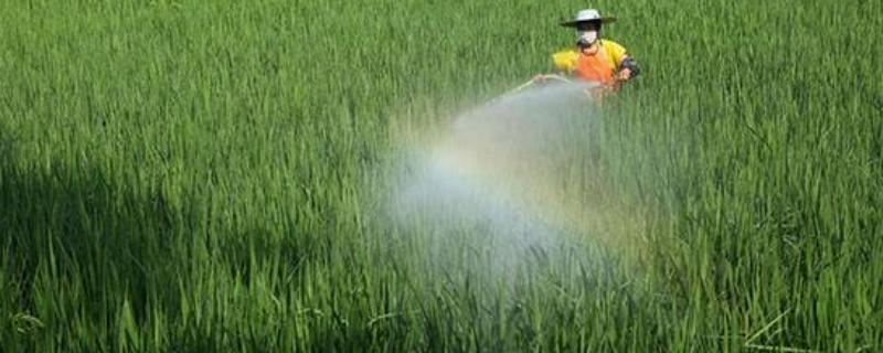 精喹禾灵使用范围,附用量和使用方法