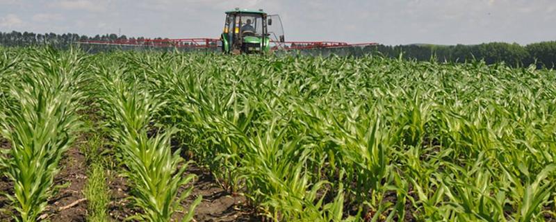 烟嘧磺隆和烟嘧莠去津的区别,可混合用吗