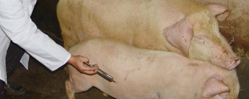 兽药残留属于什么危害,有哪些种类