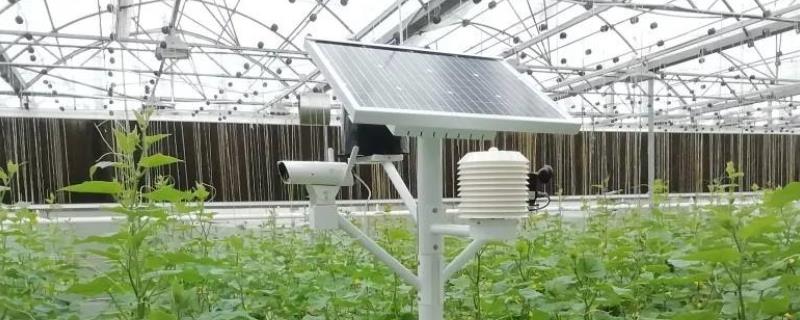 智慧农业大棚建设标准