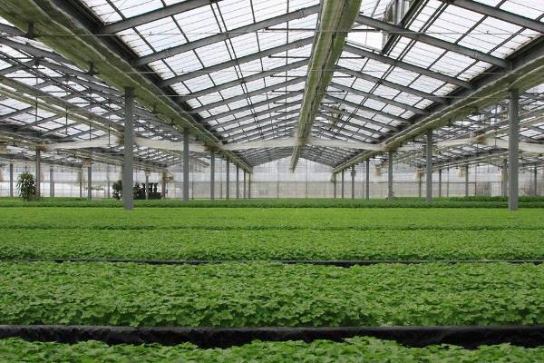 智慧农业大棚建设标准