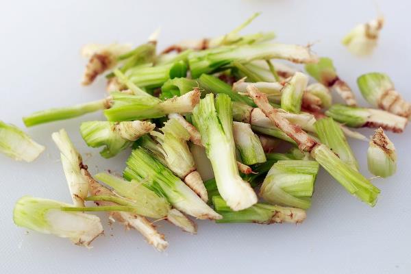 留根就可以种植的蔬菜