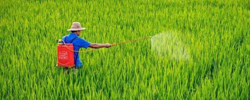 甲维盐不能和什么混配，甲维盐的用量比例是多少