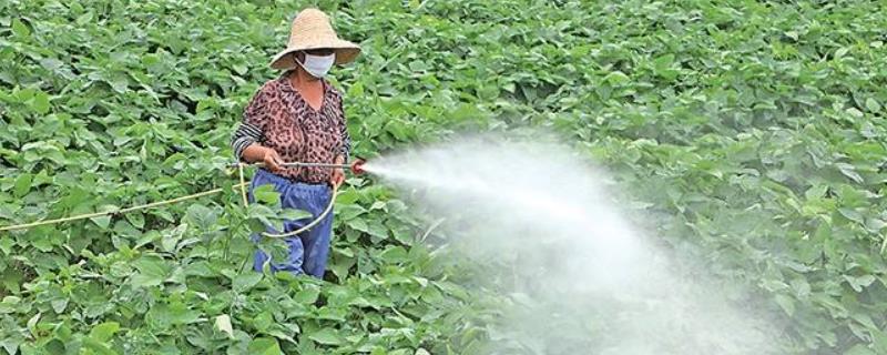 甲维盐可以和什么杀菌剂混合，使用注意事项